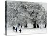 Cross Country Skiers Head Through a Deep Layer of Snow on the Mountain Schauinsland-null-Stretched Canvas