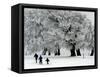 Cross Country Skiers Head Through a Deep Layer of Snow on the Mountain Schauinsland-null-Framed Stretched Canvas