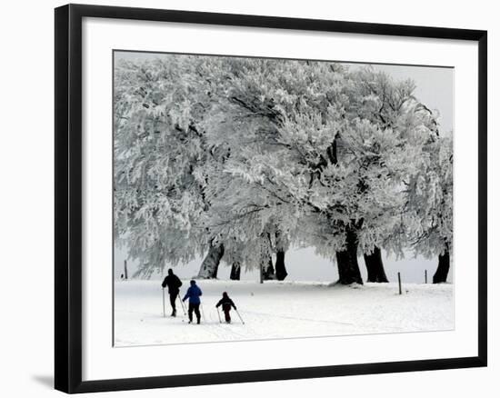 Cross Country Skiers Head Through a Deep Layer of Snow on the Mountain Schauinsland-null-Framed Photographic Print