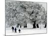 Cross Country Skiers Head Through a Deep Layer of Snow on the Mountain Schauinsland-null-Mounted Photographic Print