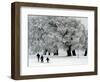 Cross Country Skiers Head Through a Deep Layer of Snow on the Mountain Schauinsland-null-Framed Photographic Print