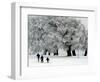 Cross Country Skiers Head Through a Deep Layer of Snow on the Mountain Schauinsland-null-Framed Photographic Print