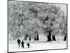 Cross Country Skiers Head Through a Deep Layer of Snow on the Mountain Schauinsland-null-Mounted Photographic Print