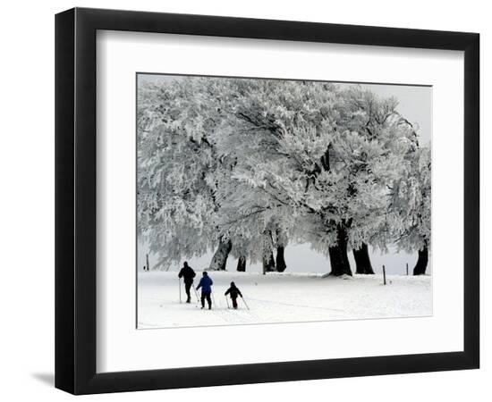 Premium Photographic Print, , large