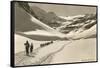 Cross Country Skiers in Bear Valley-null-Framed Stretched Canvas