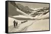 Cross Country Skiers in Bear Valley-null-Framed Stretched Canvas