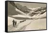 Cross Country Skiers in Bear Valley-null-Framed Stretched Canvas