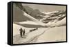 Cross Country Skiers in Bear Valley-null-Framed Stretched Canvas