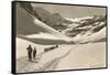 Cross Country Skiers in Bear Valley-null-Framed Stretched Canvas