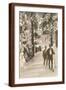 Brown Frame