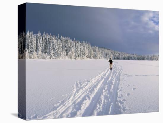 Cross Country Skiing, Abortjern, Oslomarka (Baerumsmarka), Olso, Norway, Scandinavia-Kim Hart-Stretched Canvas