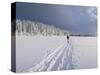 Cross Country Skiing, Abortjern, Oslomarka (Baerumsmarka), Olso, Norway, Scandinavia-Kim Hart-Stretched Canvas