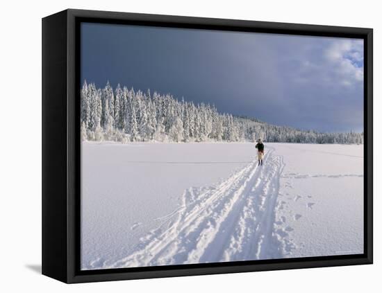 Cross Country Skiing, Abortjern, Oslomarka (Baerumsmarka), Olso, Norway, Scandinavia-Kim Hart-Framed Stretched Canvas