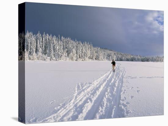 Cross Country Skiing, Abortjern, Oslomarka (Baerumsmarka), Olso, Norway, Scandinavia-Kim Hart-Stretched Canvas