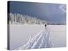 Cross Country Skiing, Abortjern, Oslomarka (Baerumsmarka), Olso, Norway, Scandinavia-Kim Hart-Stretched Canvas