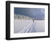 Cross Country Skiing, Abortjern, Oslomarka (Baerumsmarka), Olso, Norway, Scandinavia-Kim Hart-Framed Photographic Print