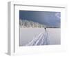 Cross Country Skiing, Abortjern, Oslomarka (Baerumsmarka), Olso, Norway, Scandinavia-Kim Hart-Framed Photographic Print