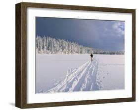 Cross Country Skiing, Abortjern, Oslomarka (Baerumsmarka), Olso, Norway, Scandinavia-Kim Hart-Framed Photographic Print