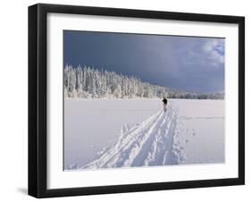 Cross Country Skiing, Abortjern, Oslomarka (Baerumsmarka), Olso, Norway, Scandinavia-Kim Hart-Framed Photographic Print