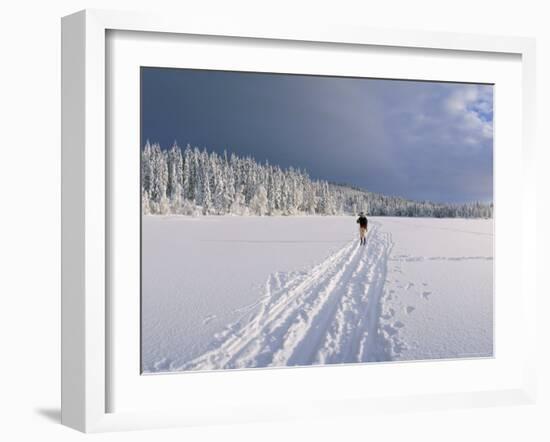 Cross Country Skiing, Abortjern, Oslomarka (Baerumsmarka), Olso, Norway, Scandinavia-Kim Hart-Framed Photographic Print