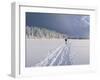 Cross Country Skiing, Abortjern, Oslomarka (Baerumsmarka), Olso, Norway, Scandinavia-Kim Hart-Framed Photographic Print