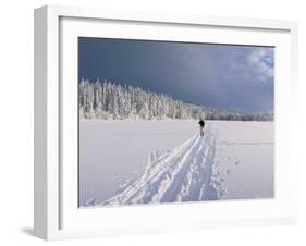Cross Country Skiing, Abortjern, Oslomarka (Baerumsmarka), Olso, Norway, Scandinavia-Kim Hart-Framed Photographic Print