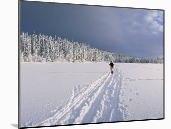 Cross Country Skiing, Abortjern, Oslomarka (Baerumsmarka), Olso, Norway, Scandinavia-Kim Hart-Mounted Photographic Print