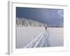 Cross Country Skiing, Abortjern, Oslomarka (Baerumsmarka), Olso, Norway, Scandinavia-Kim Hart-Framed Photographic Print