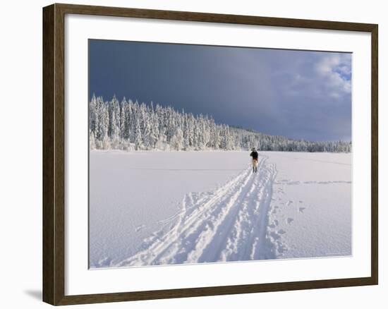 Cross Country Skiing, Abortjern, Oslomarka (Baerumsmarka), Olso, Norway, Scandinavia-Kim Hart-Framed Photographic Print