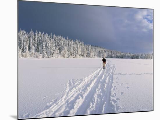 Cross Country Skiing, Abortjern, Oslomarka (Baerumsmarka), Olso, Norway, Scandinavia-Kim Hart-Mounted Photographic Print