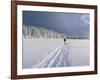 Cross Country Skiing, Abortjern, Oslomarka (Baerumsmarka), Olso, Norway, Scandinavia-Kim Hart-Framed Photographic Print