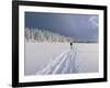 Cross Country Skiing, Abortjern, Oslomarka (Baerumsmarka), Olso, Norway, Scandinavia-Kim Hart-Framed Photographic Print