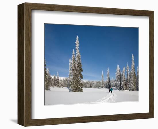 Cross Country Skiing after Snowstorm at Barn Flats, Mt. Rainier National Park, Washington, USA-Jamie & Judy Wild-Framed Photographic Print