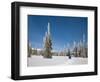 Cross Country Skiing after Snowstorm at Barn Flats, Mt. Rainier National Park, Washington, USA-Jamie & Judy Wild-Framed Photographic Print