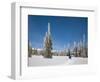 Cross Country Skiing after Snowstorm at Barn Flats, Mt. Rainier National Park, Washington, USA-Jamie & Judy Wild-Framed Photographic Print