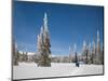 Cross Country Skiing after Snowstorm at Barn Flats, Mt. Rainier National Park, Washington, USA-Jamie & Judy Wild-Mounted Photographic Print