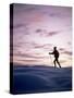 Cross Country Skiing at Twilight-null-Stretched Canvas