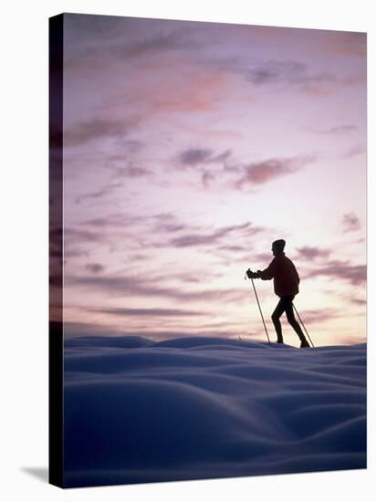 Cross Country Skiing at Twilight-null-Stretched Canvas
