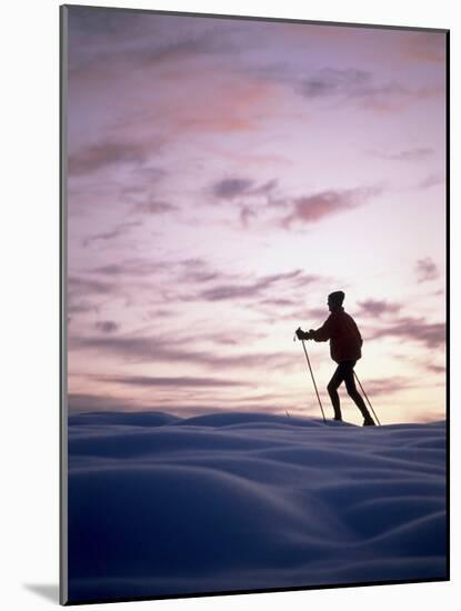 Cross Country Skiing at Twilight-null-Mounted Photographic Print
