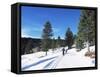Cross Country Skiing, Lone Mountain, Montana, Western Area, Yellowstone, USA-Alison Wright-Framed Stretched Canvas