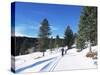 Cross Country Skiing, Lone Mountain, Montana, Western Area, Yellowstone, USA-Alison Wright-Stretched Canvas