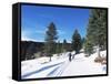 Cross Country Skiing, Lone Mountain, Montana, Western Area, Yellowstone, USA-Alison Wright-Framed Stretched Canvas