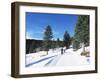 Cross Country Skiing, Lone Mountain, Montana, Western Area, Yellowstone, USA-Alison Wright-Framed Photographic Print