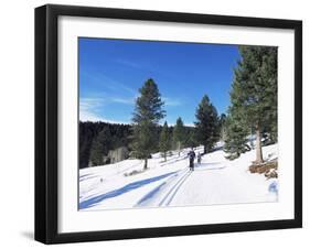 Cross Country Skiing, Lone Mountain, Montana, Western Area, Yellowstone, USA-Alison Wright-Framed Photographic Print