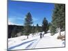 Cross Country Skiing, Lone Mountain, Montana, Western Area, Yellowstone, USA-Alison Wright-Mounted Photographic Print