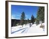 Cross Country Skiing, Lone Mountain, Montana, Western Area, Yellowstone, USA-Alison Wright-Framed Photographic Print