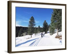 Cross Country Skiing, Lone Mountain, Montana, Western Area, Yellowstone, USA-Alison Wright-Framed Photographic Print