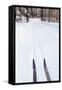 Cross Country Skis, Notchview Reservation, Windsor, Massachusetts-Jerry & Marcy Monkman-Framed Stretched Canvas