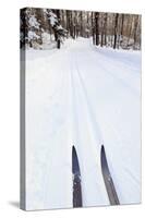 Cross Country Skis, Notchview Reservation, Windsor, Massachusetts-Jerry & Marcy Monkman-Stretched Canvas