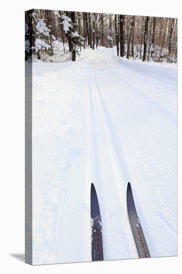 Cross Country Skis, Notchview Reservation, Windsor, Massachusetts-Jerry & Marcy Monkman-Stretched Canvas